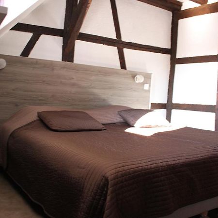 Appartement Les Violettes Кольмар Екстер'єр фото