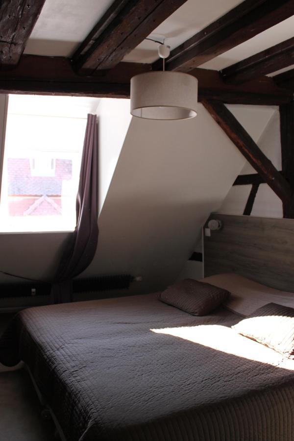 Appartement Les Violettes Кольмар Екстер'єр фото