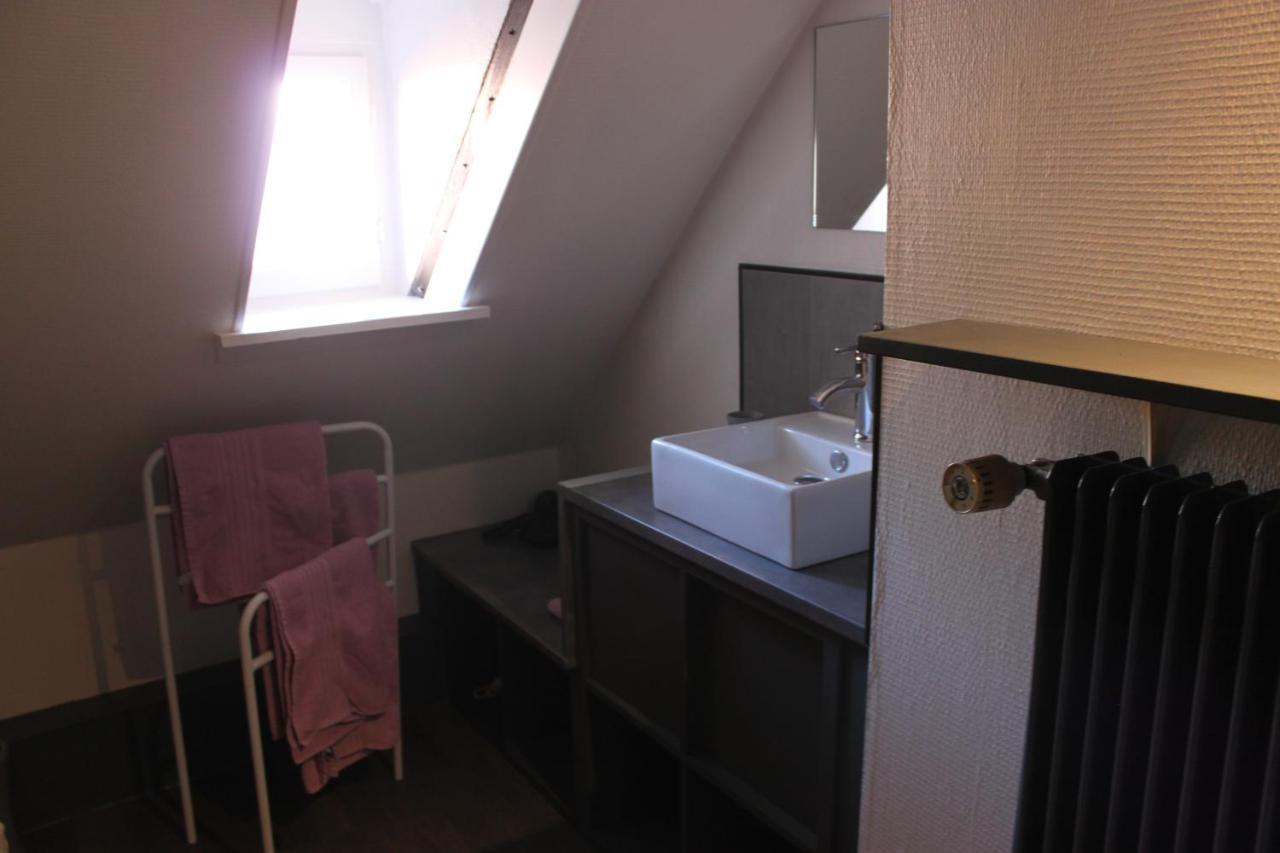 Appartement Les Violettes Кольмар Екстер'єр фото