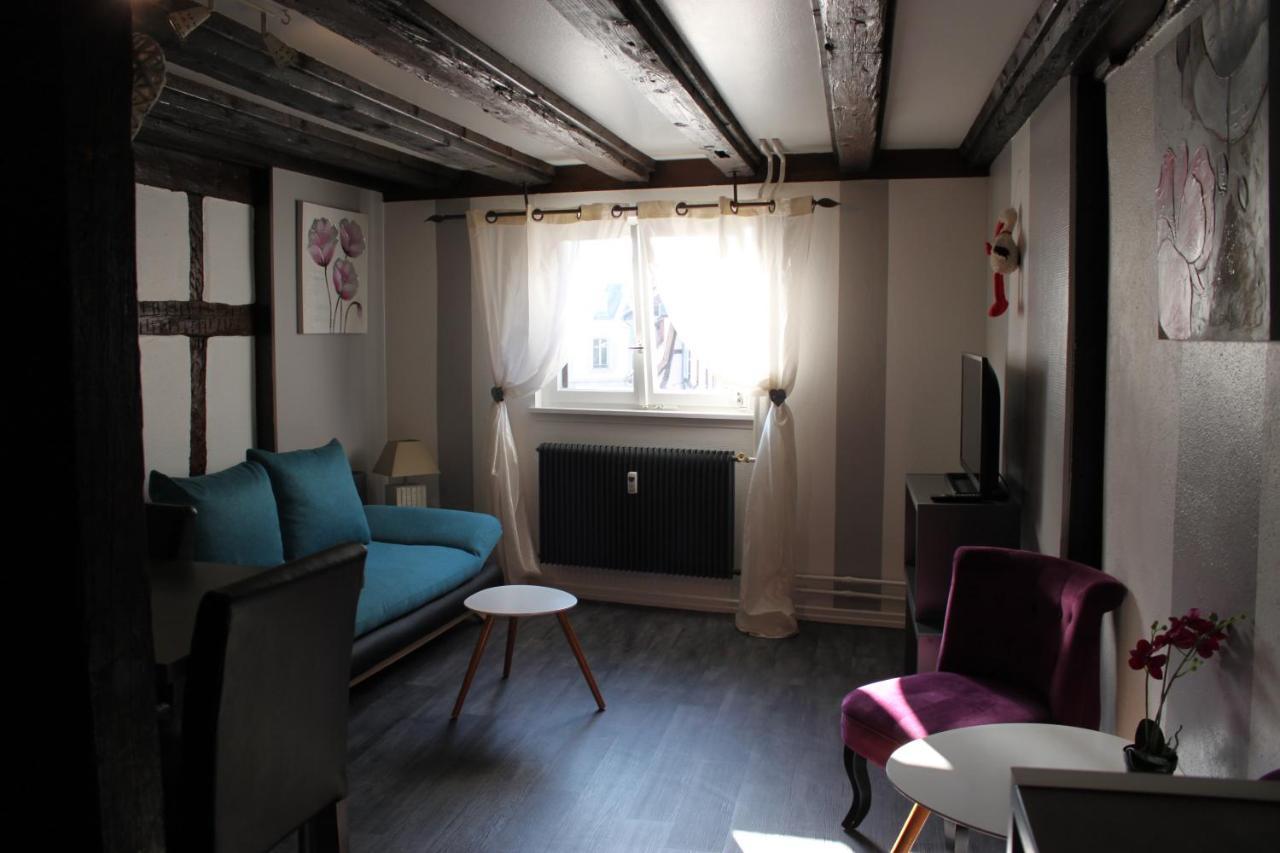 Appartement Les Violettes Кольмар Екстер'єр фото