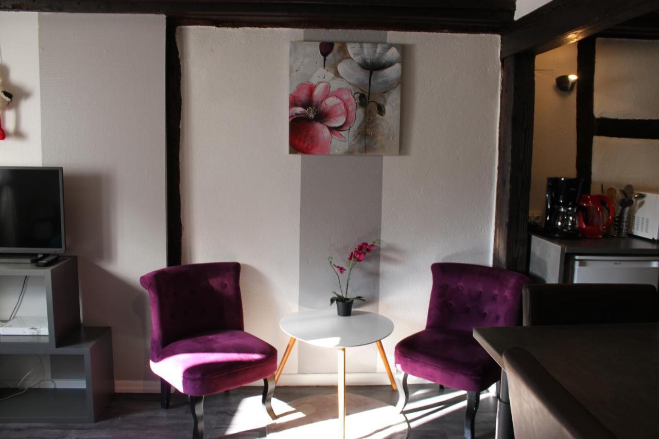 Appartement Les Violettes Кольмар Екстер'єр фото